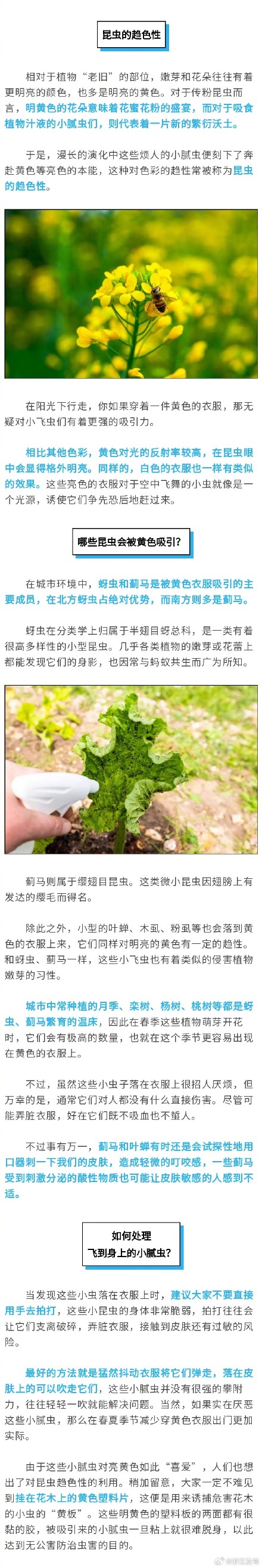 提醒！最近少穿这种颜色的衣服出门