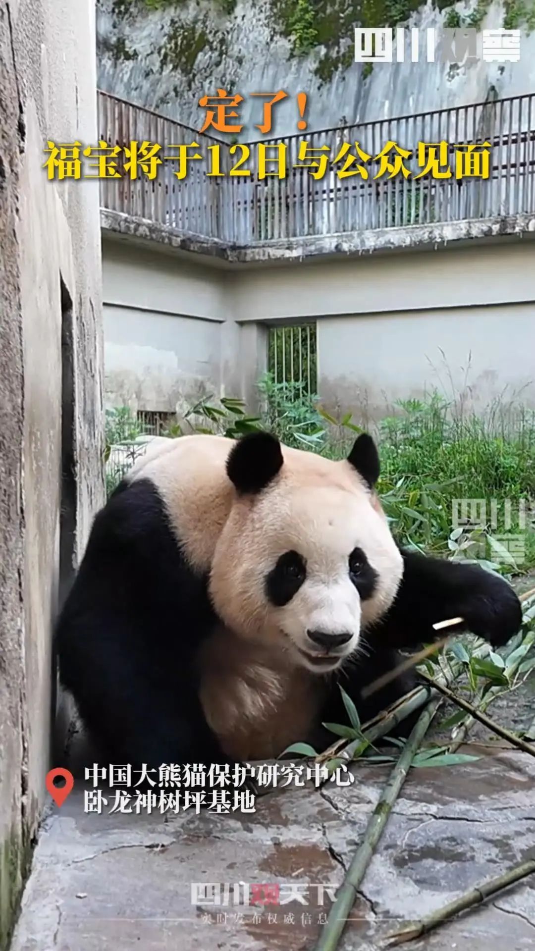 刚刚确认!顶流明星即将复出 刚刚确认!顶流明星即将复出