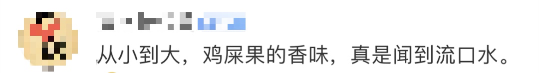 除了“鸭屎香”，广东的“鸡屎果”又在挑战外地人了……