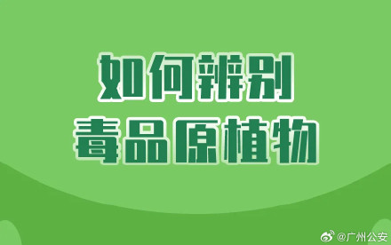 如何辨别毒品原植物 如何辨别毒品原植物