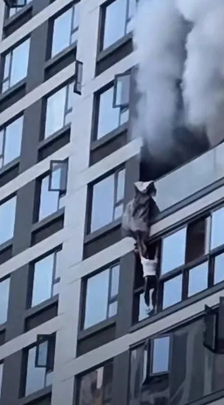 一小区9楼失火,男子逃生时不慎坠楼! 一小区9楼失火,男子逃生时不慎坠楼!