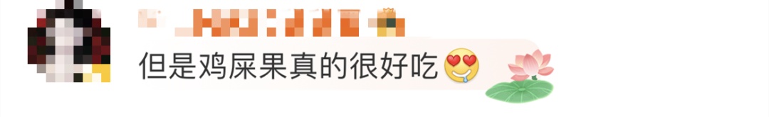 除了“鸭屎香”，广东的“鸡屎果”又在挑战外地人了……