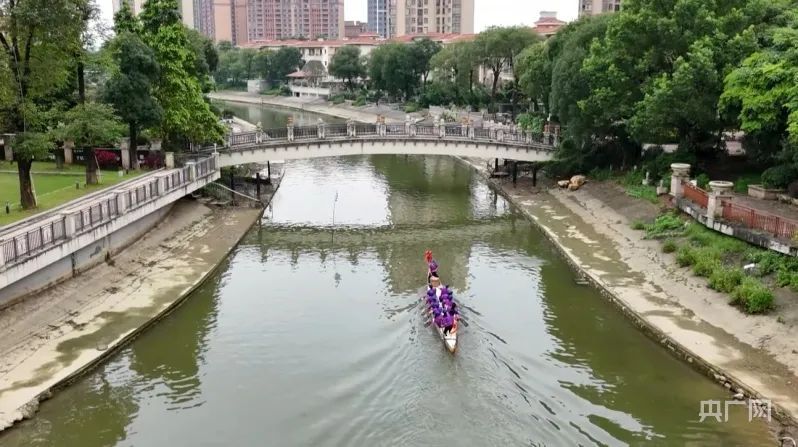 掌舵20余年！东莞64岁龙舟“女舵手”火出圈