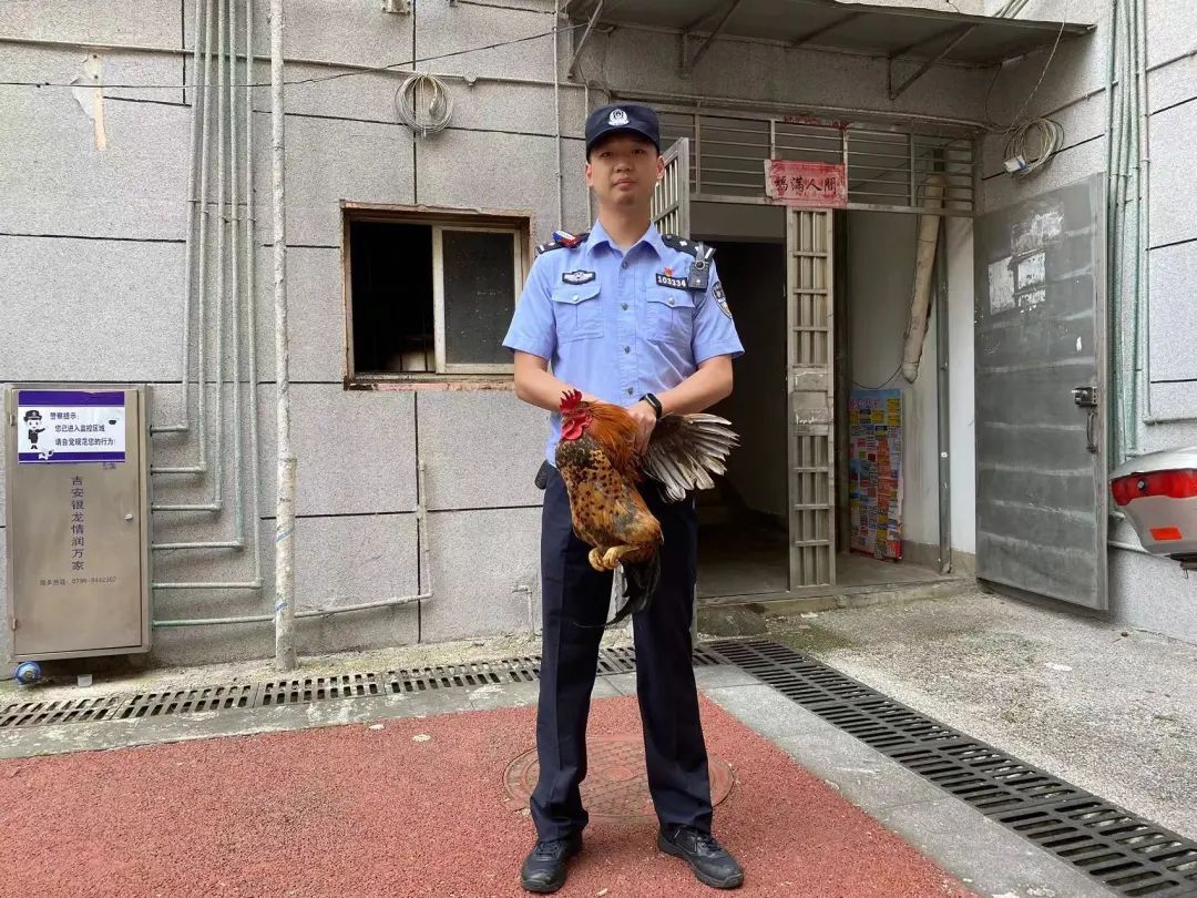 牛蛙考场外制造噪音？笑死在评论区……