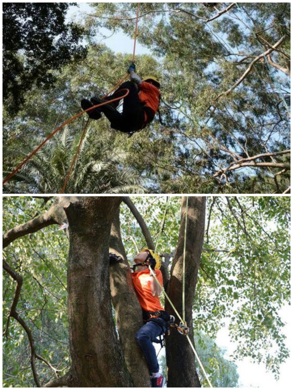 追光｜考完了吗？给高考生们一点大学体育课的震撼……