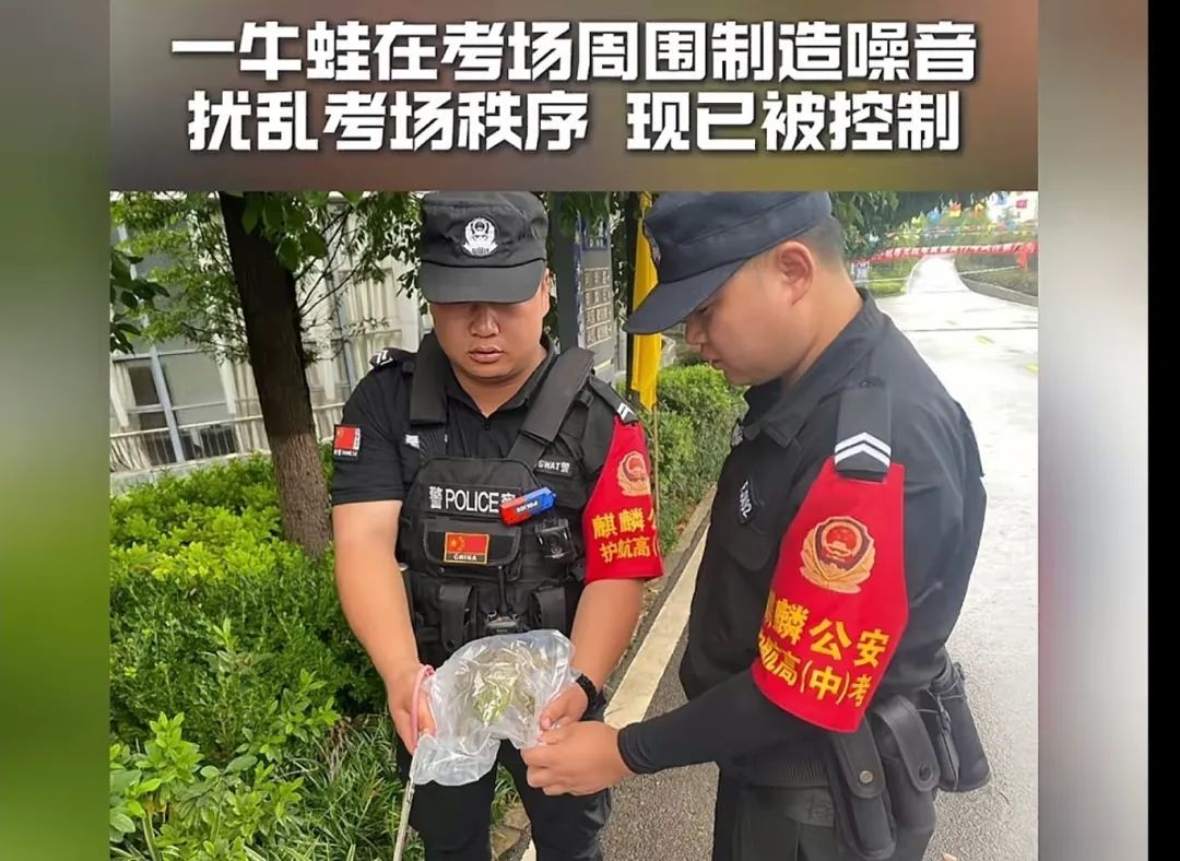 一牛蛙影响高考被抓!笑死在评论区…… 一牛蛙影响高考被抓!笑死在评论区……