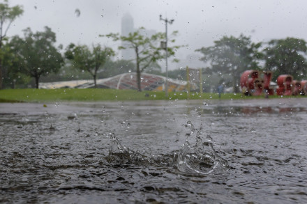 广州52天里只有7天没下雨，总算快熬到降雨间歇期了
