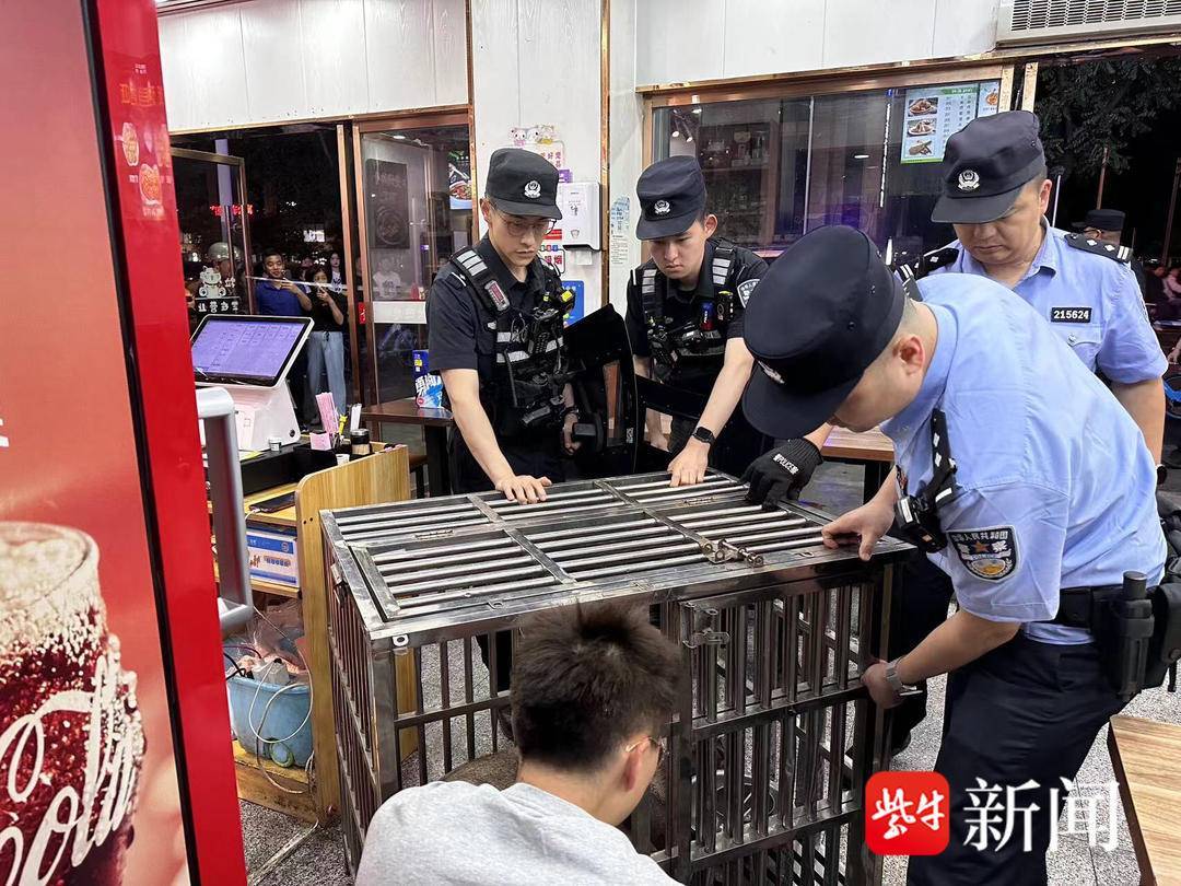 “二师兄”又下山巡视啦,南京警察蜀黍送你回家 “二师兄”又下山巡视啦,南京警察蜀黍送你回家