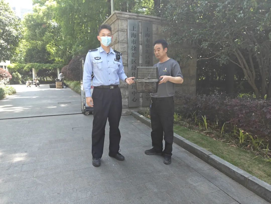 天降“萌”禽！警民携手救助“大眼萌仔”！