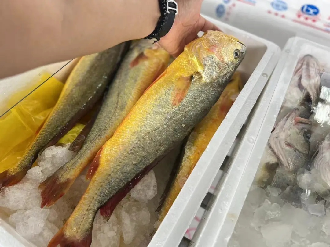 贵的70元一斤!提前上市,不少杭州人都在等.... 贵的70元一斤!提前上市,不少杭州人都在等....