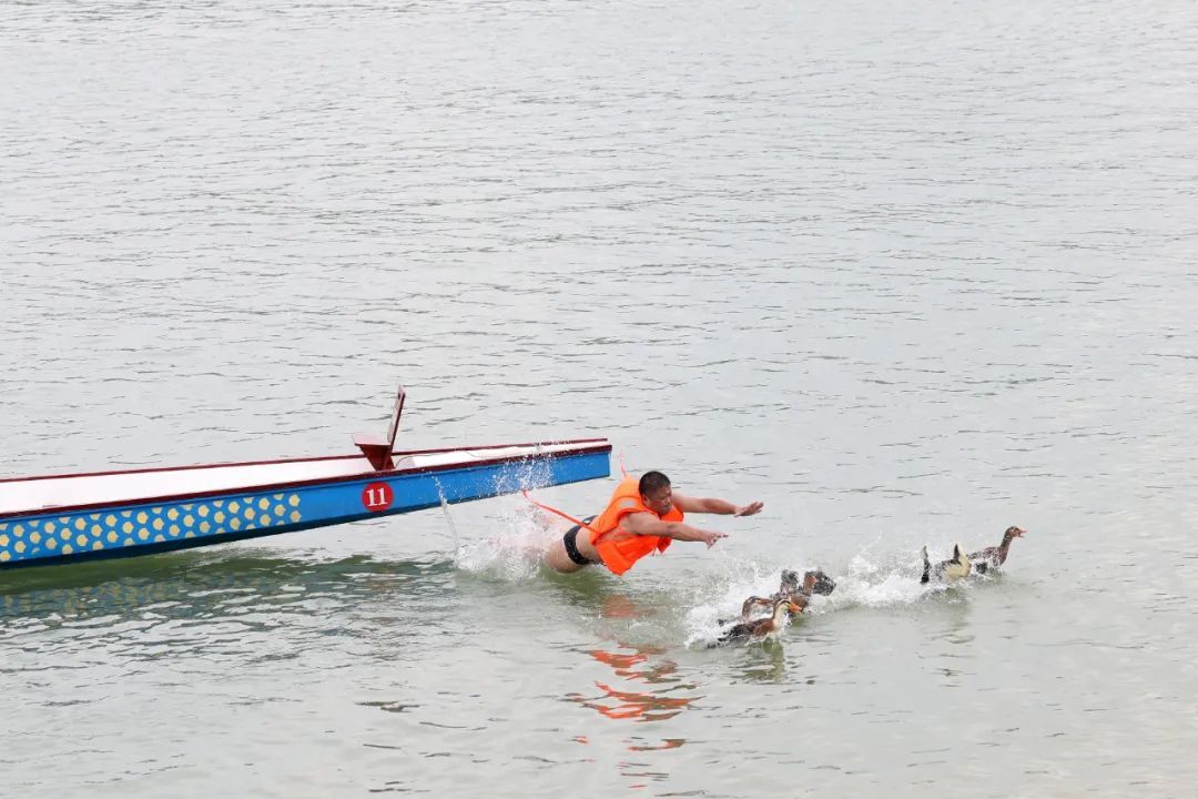 “开飙”嘉陵江！四川上演“百舟竞渡迎端午”