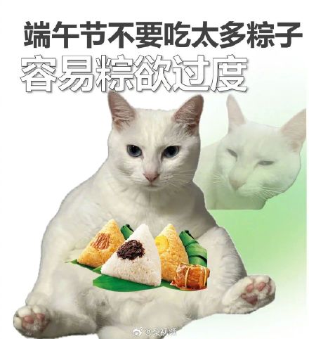 吃个粽子跑8000米才能消耗掉,各种粽子消化时间一览 吃个粽子跑8000米才能消耗掉,各种粽子消化时间一览
