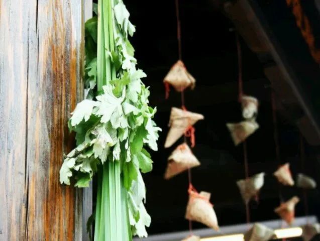 端午为啥又叫“防疫节”，老北京为何门上要挂这两种植物？