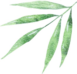 端午为啥又叫“防疫节”，老北京为何门上要挂这两种植物？