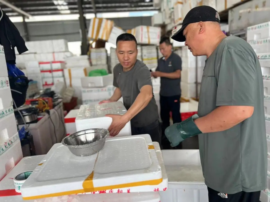 贵的70元一斤!提前上市,不少杭州人都在等.... 贵的70元一斤!提前上市,不少杭州人都在等....