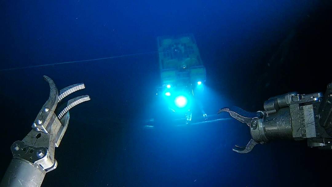 稳扎深水！“海葵一号”完成海上安装