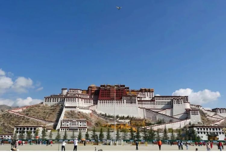 这届年轻人,也太“传统”了吧! 这届年轻人,也太“传统”了吧!