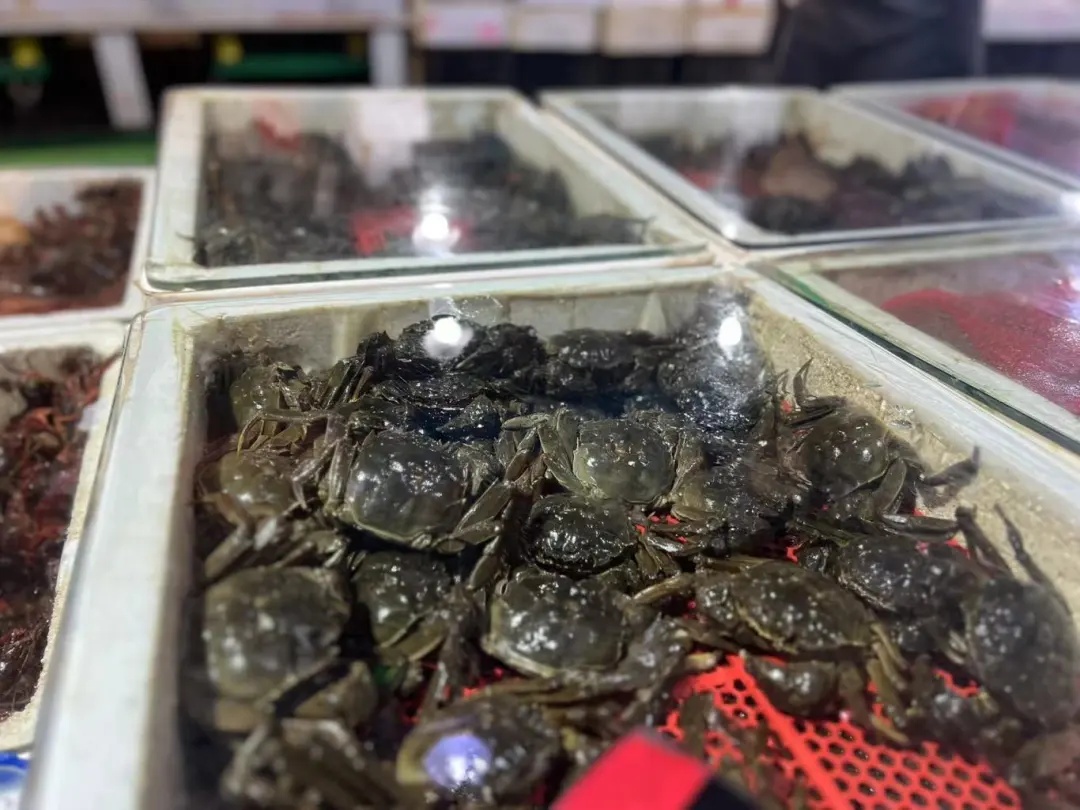 贵的70元一斤!提前上市,不少杭州人都在等.... 贵的70元一斤!提前上市,不少杭州人都在等....