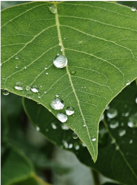 中雨！大雨！暴雨！台州人挺住，持续10天！还有更糟心的...