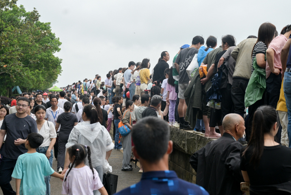 长沙这场龙舟赛,因为“游回南京”变得异常火爆 长沙这场龙舟赛,因为“游回南京”变得异常火爆