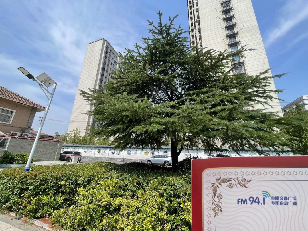 极其罕见！阜阳一市民在高考日发现……
