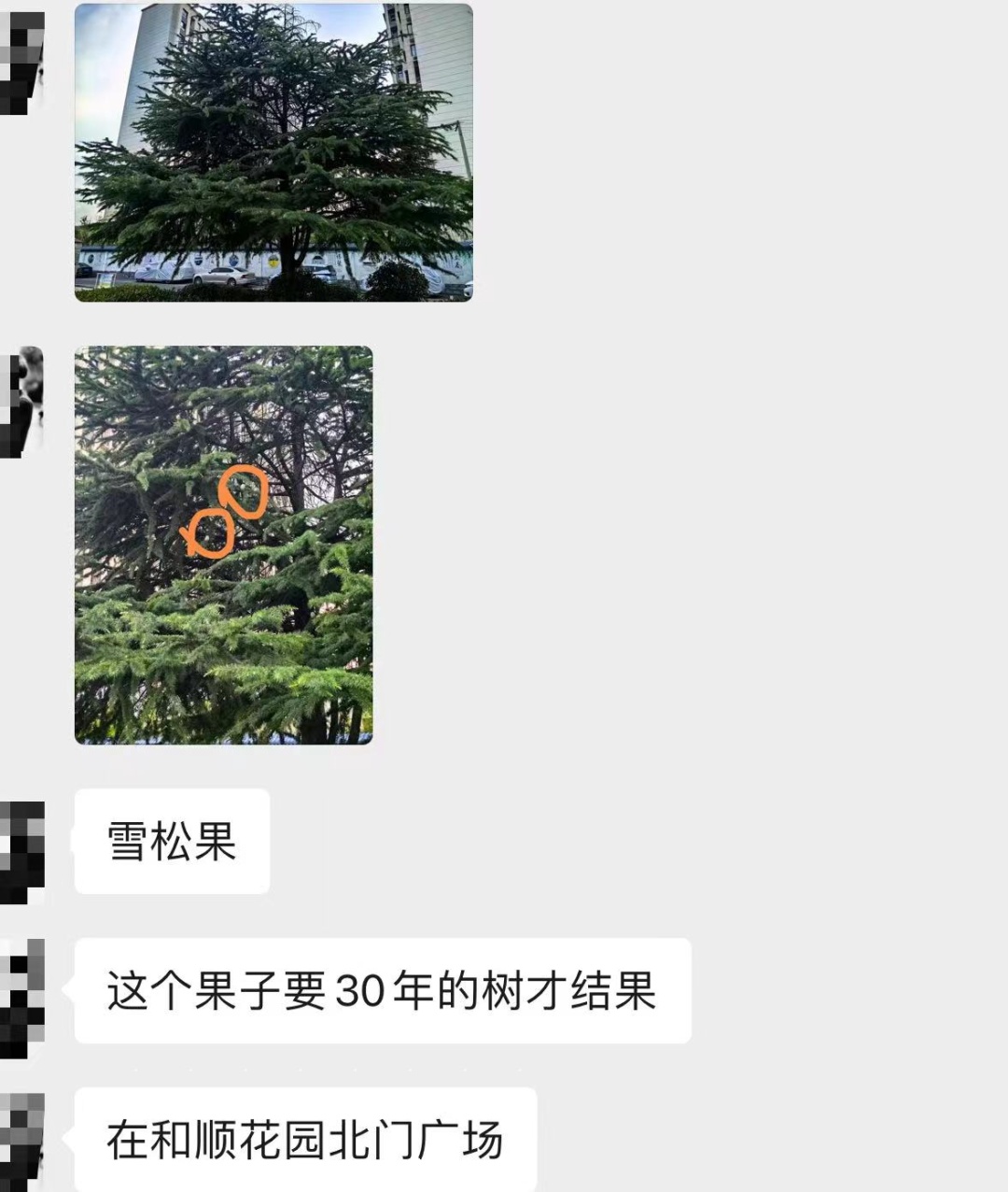 极其罕见！阜阳一市民在高考日发现……