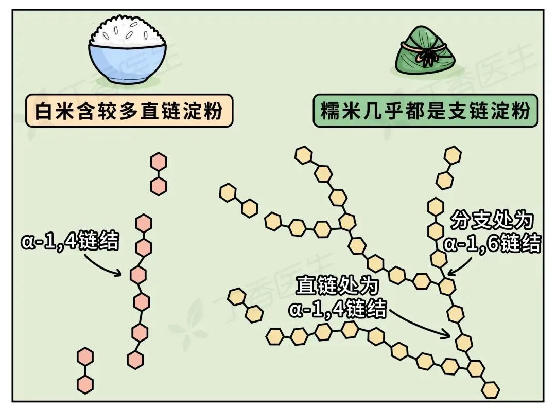 吃一个粽子等于跑8千米,真的假的? 吃一个粽子等于跑8千米,真的假的?