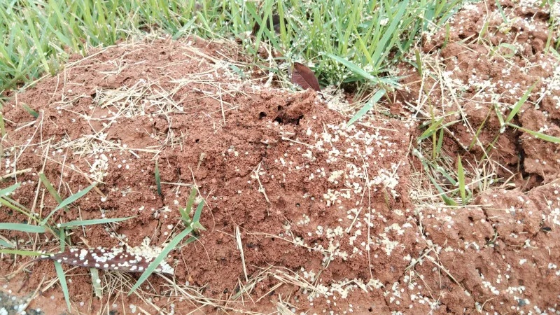 看到立刻远离！长沙已发现50个疑似活动位置！