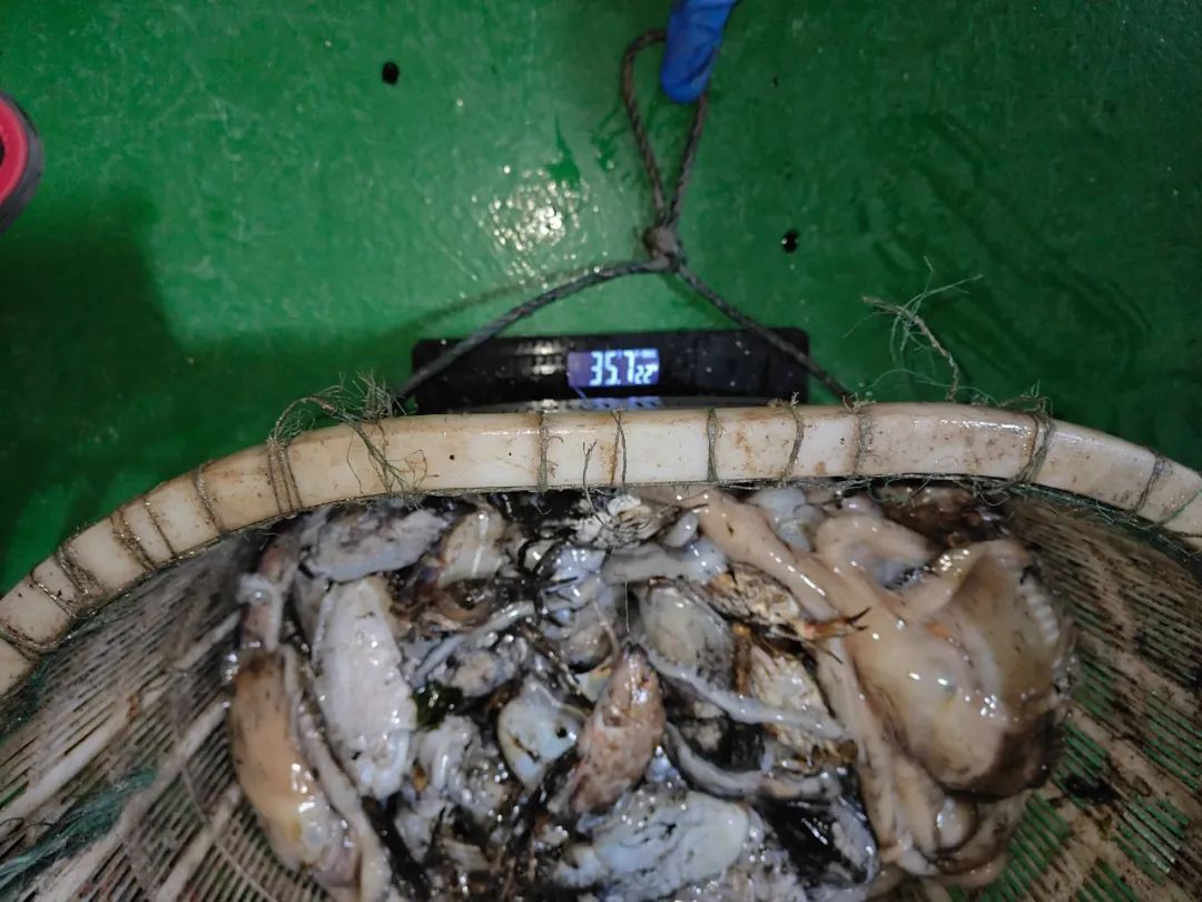 台州人注意了!已有十多人因这个被查... 台州人注意了!已有十多人因这个被查...