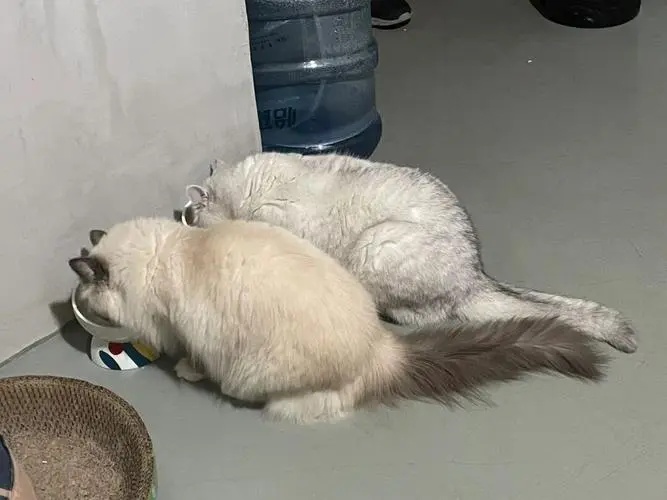 提前沟通、打开监控……杭州这项上门服务最近又火了！