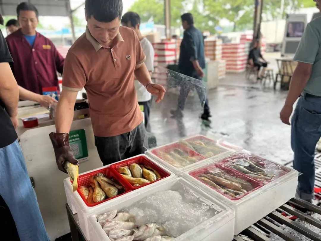 贵的70元一斤!提前上市,不少杭州人都在等.... 贵的70元一斤!提前上市,不少杭州人都在等....