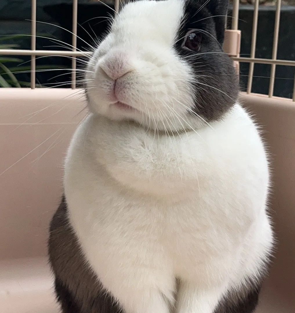 提前沟通、打开监控……杭州这项上门服务最近又火了！