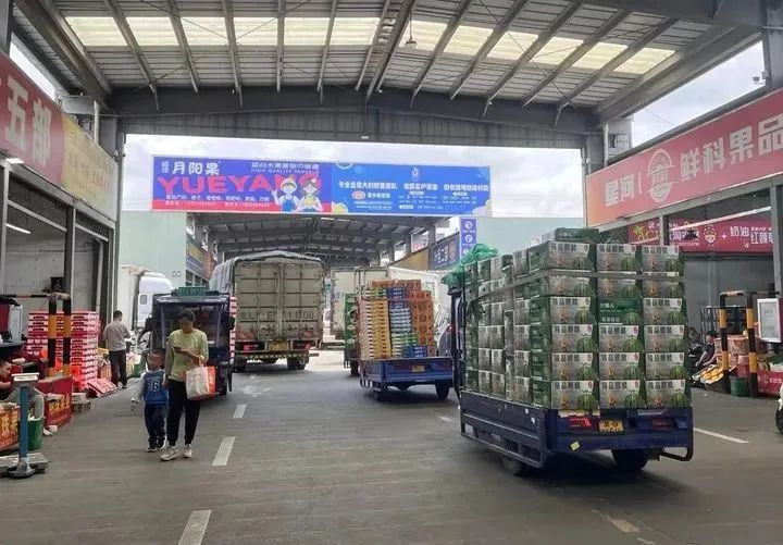 价格大跳水!低至几毛钱一斤?“还会更便宜”!上海人都爱,正大量上市→ 价格大跳水!低至几毛钱一斤?“还会更便宜”!上海人都爱,正大量上市→