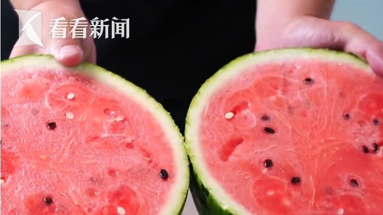 价格大跳水!低至几毛钱一斤?“还会更便宜”!上海人都爱,正大量上市→ 价格大跳水!低至几毛钱一斤?“还会更便宜”!上海人都爱,正大量上市→