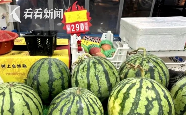 价格大跳水!低至几毛钱一斤?“还会更便宜”!上海人都爱,正大量上市→ 价格大跳水!低至几毛钱一斤?“还会更便宜”!上海人都爱,正大量上市→