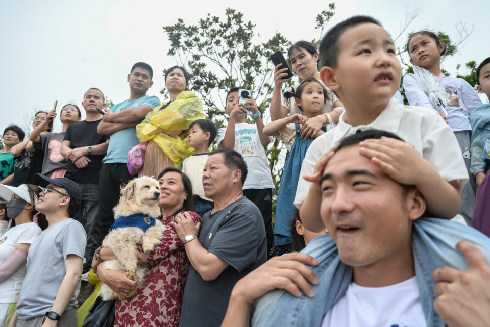 长沙这场龙舟赛,因为“游回南京”变得异常火爆 长沙这场龙舟赛,因为“游回南京”变得异常火爆