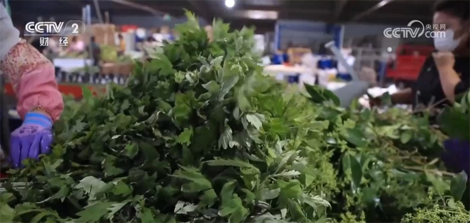 创意花束、香囊、洗浴包……艾草走俏 端午节消费“产业范儿”涌动热潮