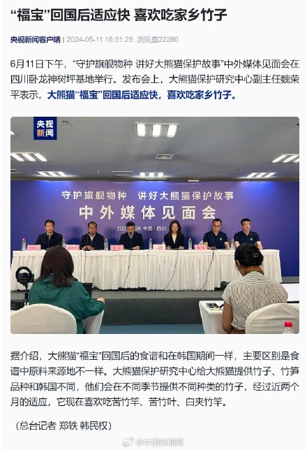 福宝回国后适应快 喜欢吃家乡竹子