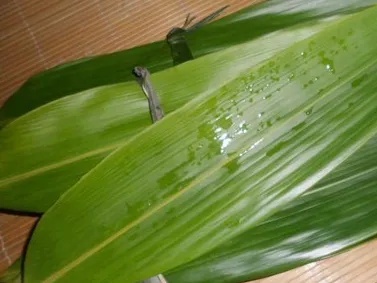 粽叶都会“返老还童”？千万别买这种……