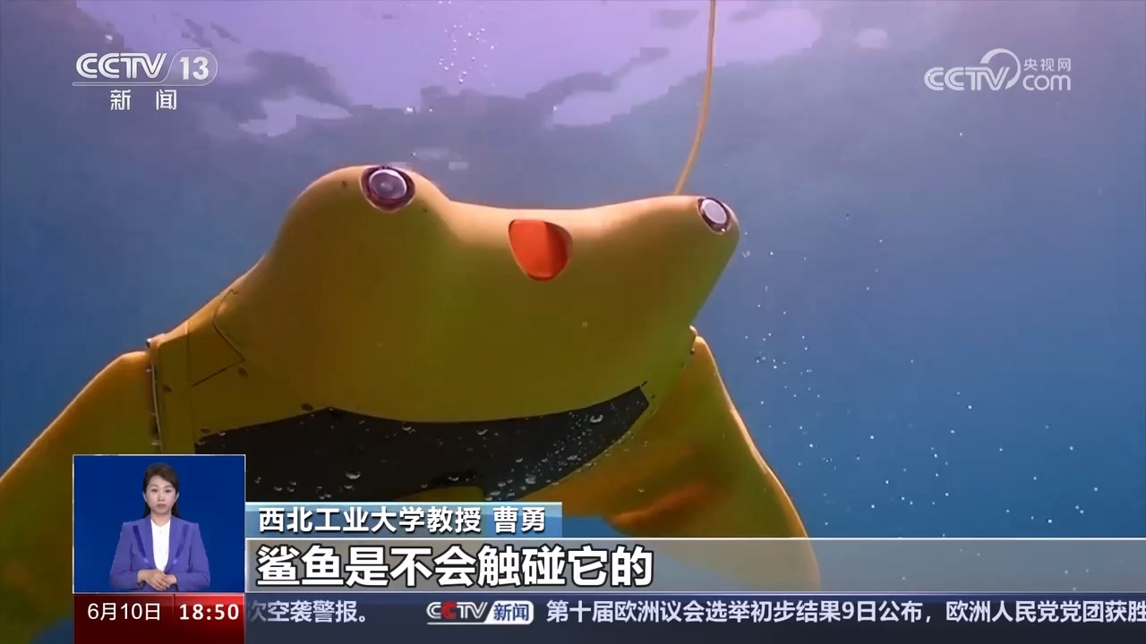 仿蝠鲼柔体潜水器走红 这条“鱼”有何神奇？