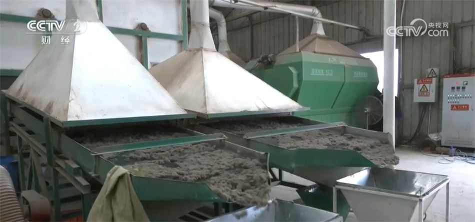 创意花束、香囊、洗浴包……艾草走俏 端午节消费“产业范儿”涌动热潮