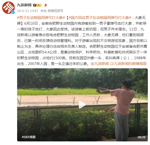 合肥野生动物园回应“男子用弹弓打大象”：大象无碍