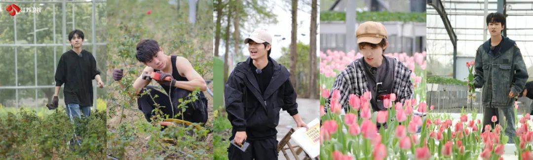 江苏卫视《种地吧2》十个勤天风雨无阻搬蜂箱