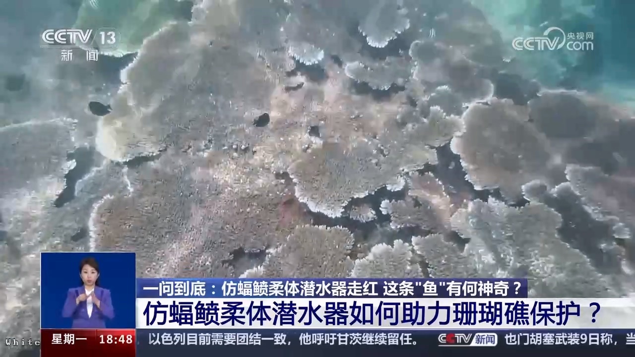 仿蝠鲼柔体潜水器走红 这条“鱼”有何神奇？