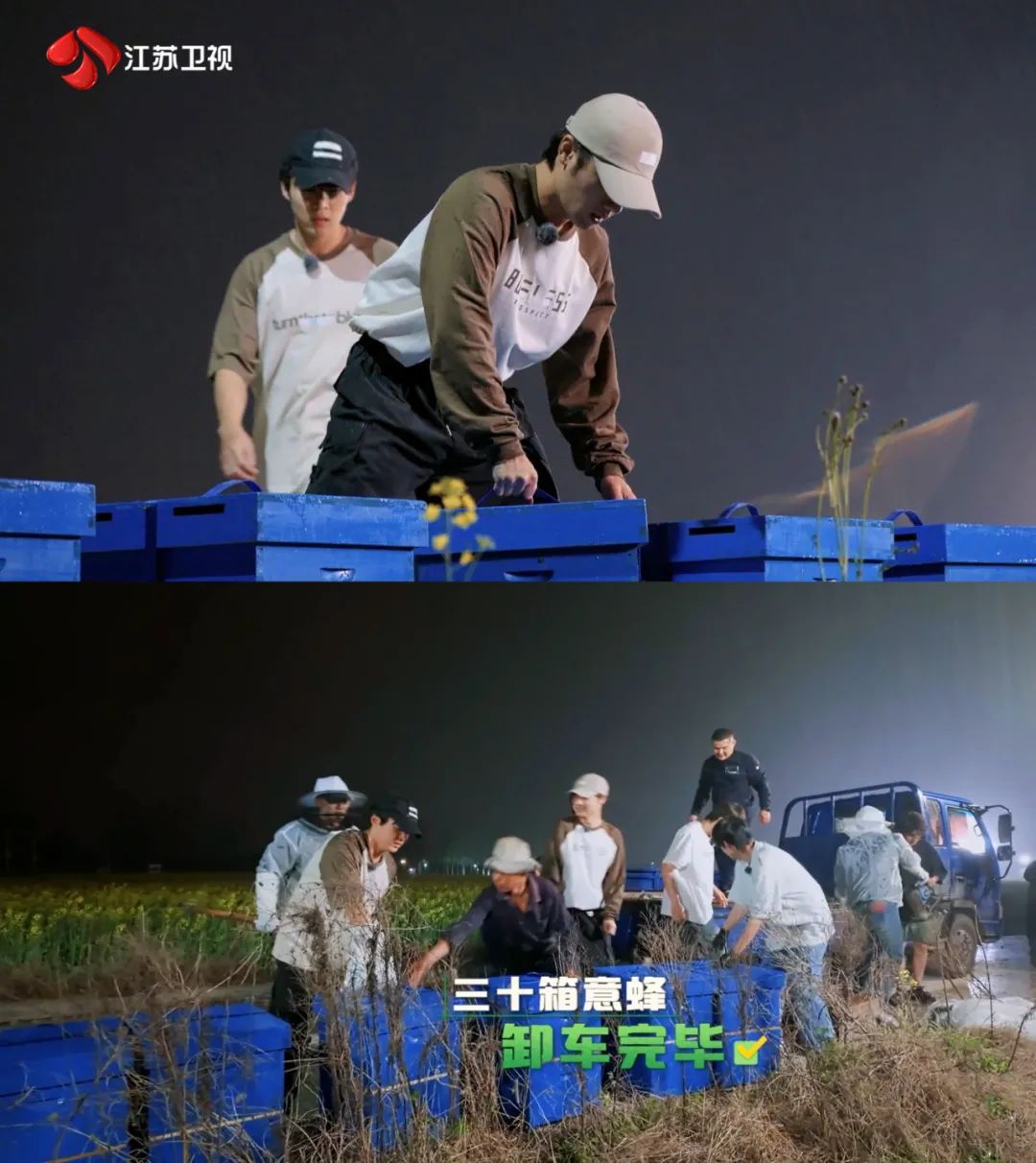江苏卫视《种地吧2》十个勤天风雨无阻搬蜂箱
