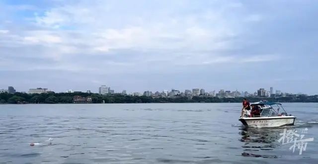 女子落水后，一个动作成功自救！专家建议→