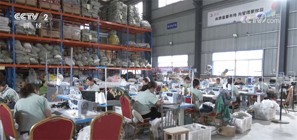 创意花束、香囊、洗浴包……艾草走俏 端午节消费“产业范儿”涌动热潮