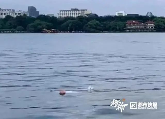 女子落水后，一个动作成功自救！专家建议→