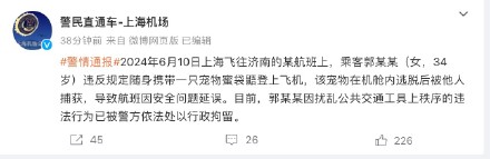 警方通报乘客违规携宠物蜜袋鼯上飞机