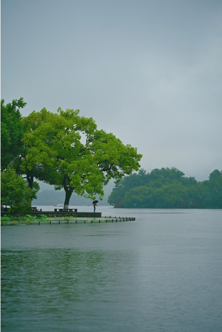 太难了!刚刚确认:至少10天!浙江人要再忍忍 太难了!刚刚确认:至少10天!浙江人要再忍忍